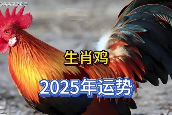 生肖鸡今日运势十二星座下周运势