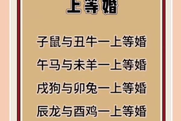 生命灵数配对哪些生肖幸福