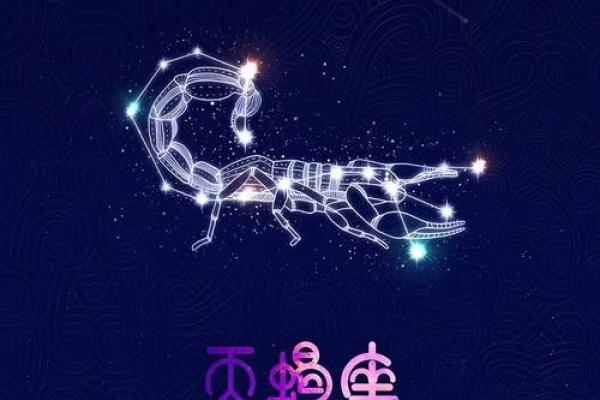 哪个星座长大有魔法意志