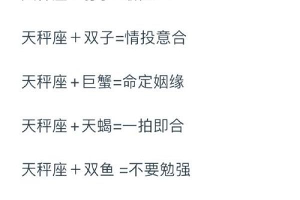 双子和天秤配对