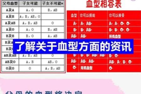 个人血型查询网 怎样查询个人血型