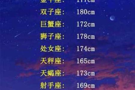 12星座哪个男生最好追