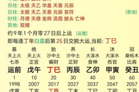 八字丁酉