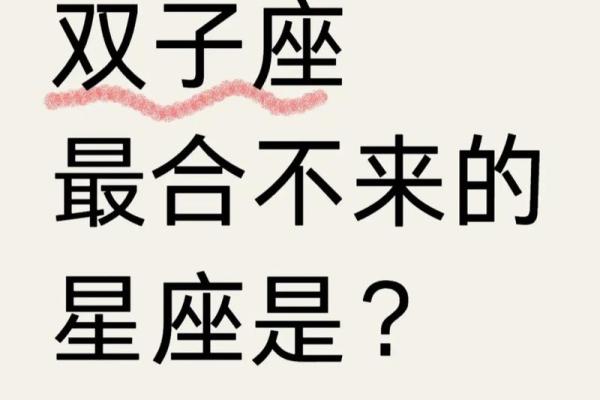 双子 双子星座解析