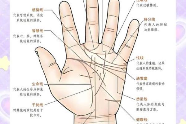 《手相学习百科》：掌丘