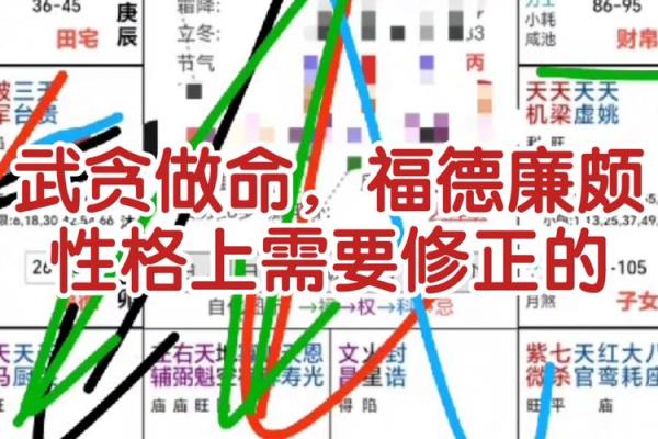 紫薇斗数陷是什么意思