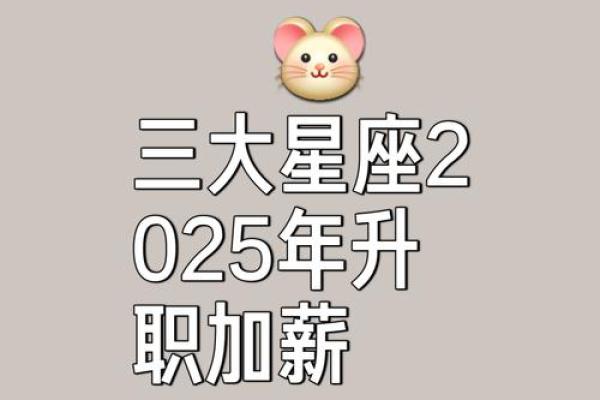 喜欢投机取巧的三个星座，思维奇特，目光长远