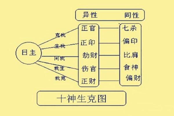 八字里十神