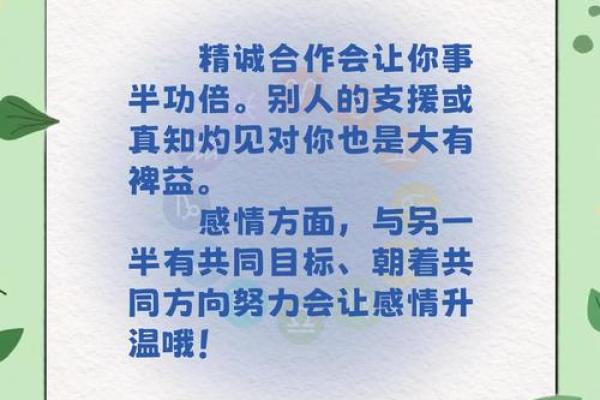 每天更新星座运势的博主