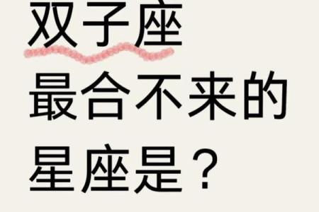 双子 双子星座解析