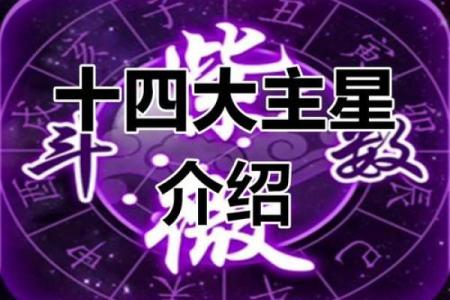 紫微斗数视频教学 紫微斗数视频教学好的推荐？