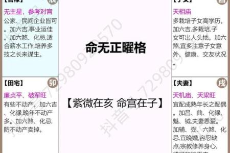 元亨八字紫薇斗数