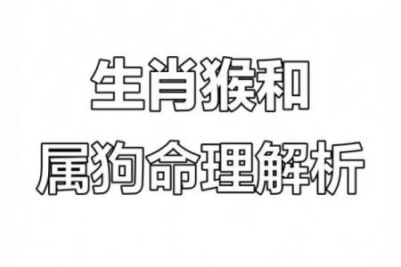 1994年生肖狗命的八字分析与运势预测