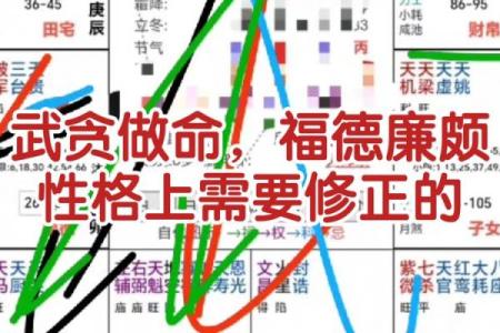 紫薇斗数陷是什么意思