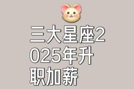 喜欢投机取巧的三个星座，思维奇特，目光长远