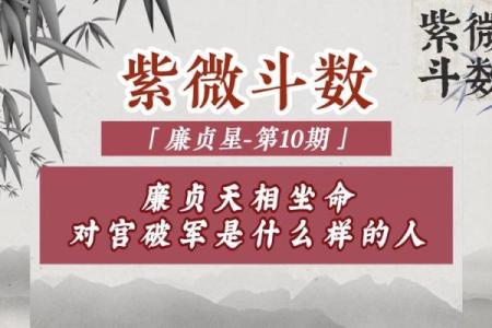 亨贞紫薇斗数