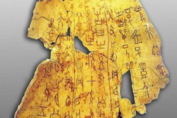 以娣为中心的百科全书，覆盖科技、文化、历史知识