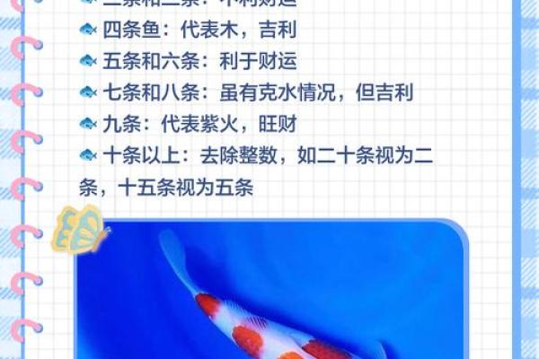 养金鱼有哪些风水讲究-