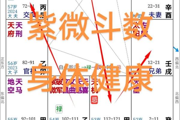 紫薇斗数对宫作用