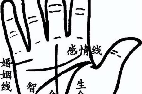手相算命图解事业线