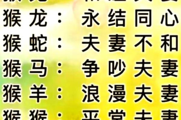猪的生肖配对