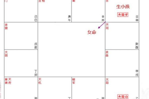 我是紫薇斗数