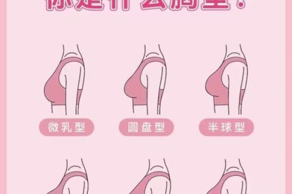 哪个星座女性的胸部较大