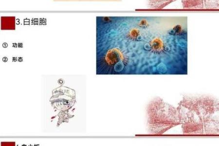 血型研究的发展史是怎样的