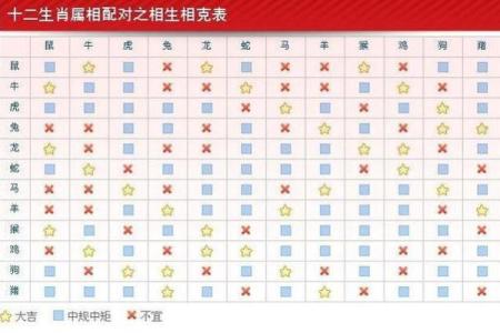 1974年属什么生肖配对 多大几岁 配偶