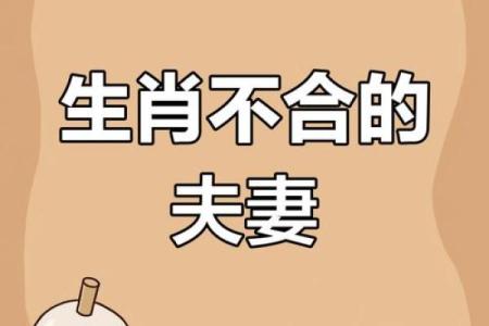 属牛的女人和什么属相最配对 属牛的女人和什么属相最配婚姻