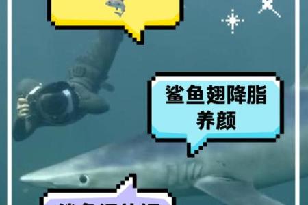 十二星座专属鲨鱼 对应的鲨鱼