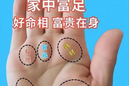 《手相学习百科》：手纹看旅游和迁徙