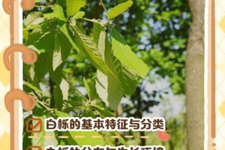 栎树百科：品种特征，栽培技巧与养护要点