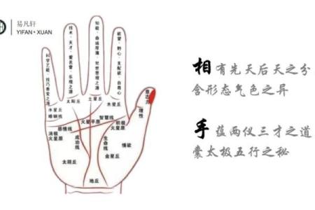 手相算命图解事业线