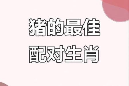 猪的生肖配对