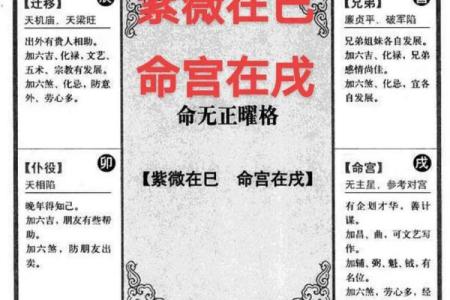 我是紫薇斗数