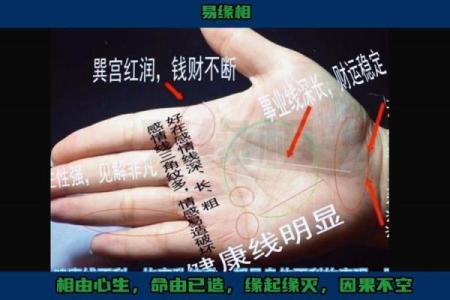 手相图解大全女 右手 算命 手掌红润柔软