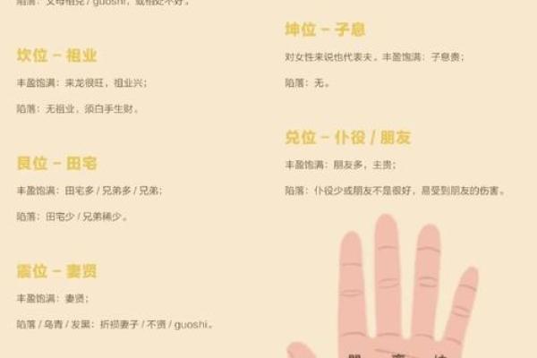《手相学习百科》：掌脊纹