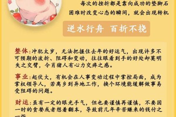 属猪的女人和什么属相最配对 属猪的女人和什么属相最配婚姻