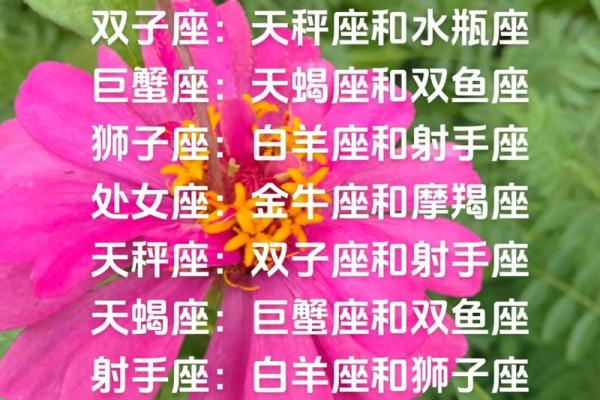 狮子处女座与天蝎射手座的星座配对