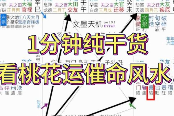 紫薇斗数看名气