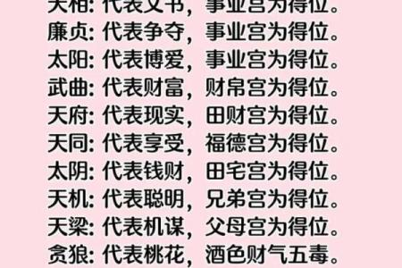 紫薇斗数与数术