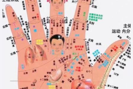 《手相学习百科》：手纹看退休