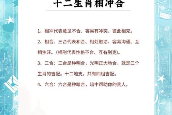 属蛇的男人应该与哪个生肖进行配对