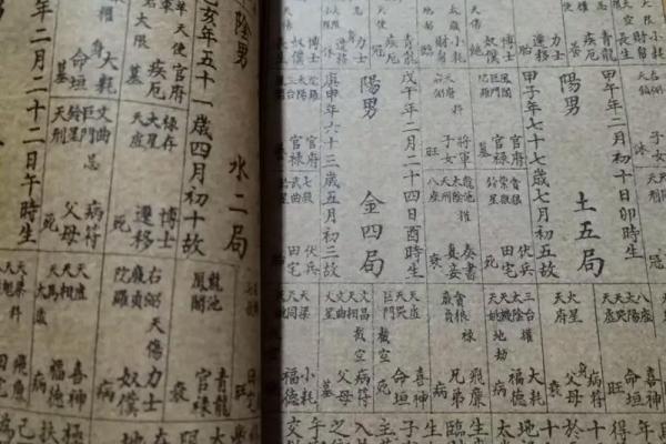紫薇斗数明日运势