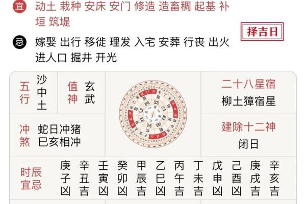 属猪是哪一年出生的 属猪的男孩出生吉日