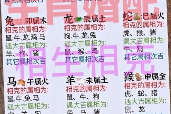 96鼠98年虎婚配穷一辈之婚姻配对解析