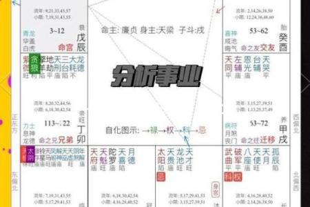 紫薇斗数明日运势