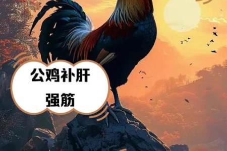 公鸡的风水作用