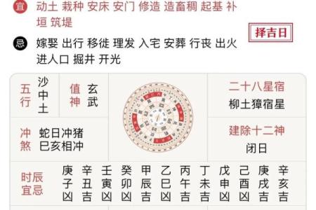 属猪是哪一年出生的 属猪的男孩出生吉日